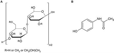Interactions Between Paracetamol and Hypromellose in the Solid State